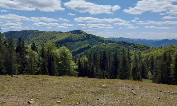 fot. Kama Wojarska